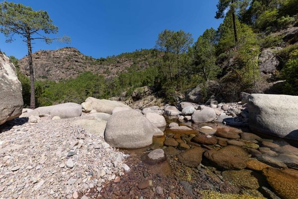 Comme de nombreuses zones en Méditerranée, la Corse n’échappe pas à la sécheresse. Des températures élevées arrivées très tôt et un manque de pluie accentuent le phénomène. Les cours d’eau de Balagne n’échappent pas à cette problématique. Certains sont complètement secs et les autres voient leur débit largement réduit.