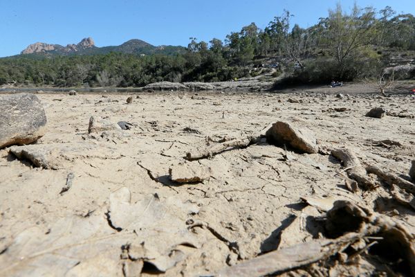 Comme dans le Var cette année, la Marne pourrait subir une vague de sécheresse.