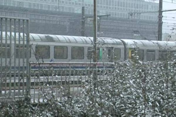 Les Petits Gris resistent à la neige ....