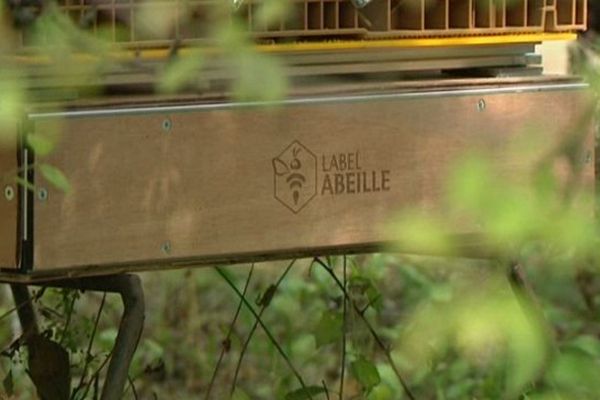 Label Abeilles, le boitier connecté pour lutter contre la disparition des abeilles mis au point par le jeune entrepreneur orléanais Bertrand Laurentin