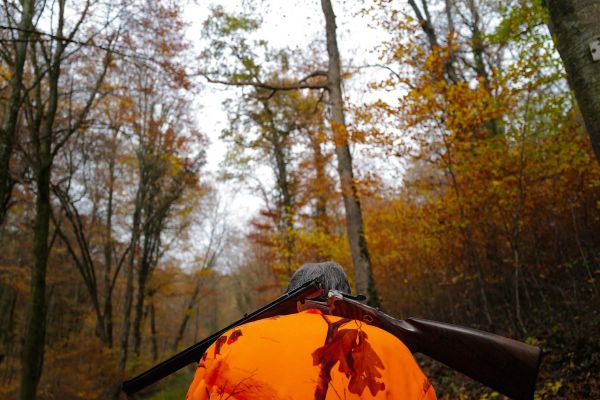 Dimanche 6 février, un promeneur a été victime d'un accident de chasse à Beauzac, en Haute-Loire. (Photo d'illustration)