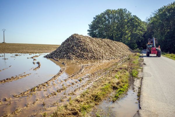 Entre la pluviométrie importante et le manque de soleil, les agriculteurs souffrent.