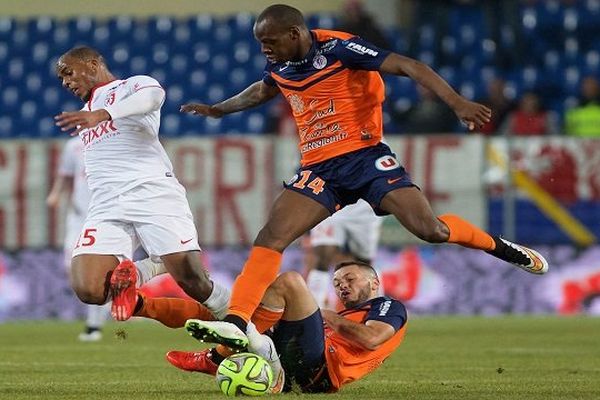 Les Montpelliérains lors de leur défaite 2-1 face à Lille - 9 février 2015