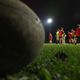 Dans le rugby, il peut arriver que les joueurs, et même les entraineurs, en viennent aux mains lors d'une rencontre.