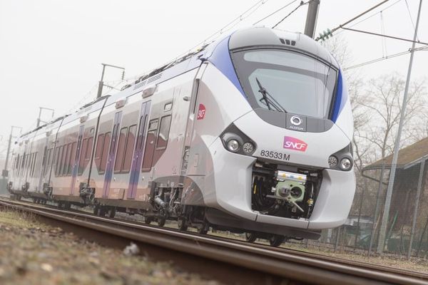 La région Occitanie a commandé 13 trains régionaux comme celui-ci à Alstom.