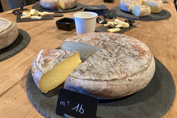 La dégustation a permis de pré-sélectionner les fromages qui seront présentés au Concours Général Agricole