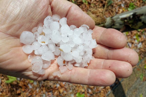 Certains orages prendront un caractère violent, notamment du fait de chutes de grêle de taille moyenne, et seront accompagnés de rafales de vent de l'ordre de 80 km/h dans le Rhône le 4 juillet 2022