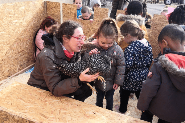 Le jeune public découvre les animaux de la ferme à Anymania