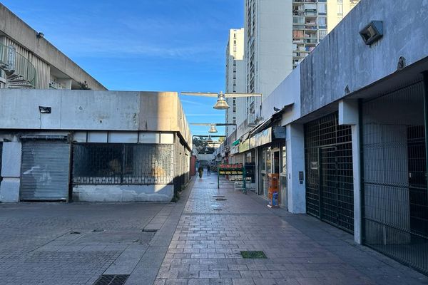 Plusieurs personnes dont certaines soupçonnées d'être à la tête de réseaux ont été ciblées par une opération de police inédite, déployée notamment dans la galerie Wagner dans le quartier Pissevin à Nîmes.