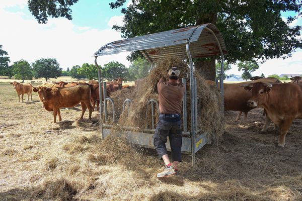 Le dispositif Réagir a accompagné 428 agriculteurs confrontés à des difficultés économiques, de santé ou familiales en 2023 (photo d'illustration)