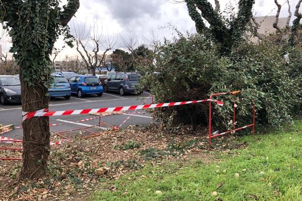 Béziers (Hérault) - les ossements d'un patient disparu depuis octobre 2018 retrouvés dans ce bosquet sur le parking du centre hospitalier - 15 janvier 2020.