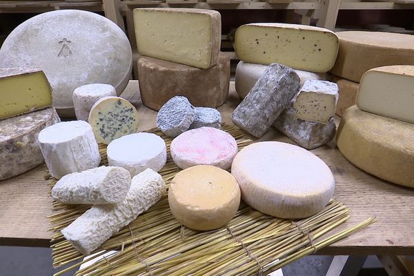 La Bretagne compte 250 producteurs fermiers qui fabriquent des fromages