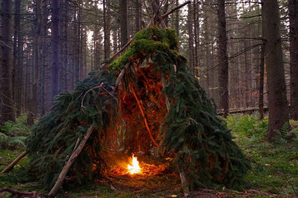 Le bushcraft, l'art de vivre dans la nature