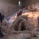 "Trop de normes" : les agriculteurs paillent l'entrée de la cité administrative de Toulouse