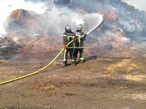 10 veaux ont péri dans l'incendien d'un bâtiment agricole au Luot, dans la Manche.