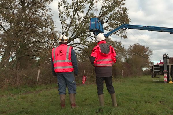 De nombreux arbres et poteaux électriques sont tombés sur les routes de la région. Plus de 200 agents d'Enedis sont à pied d'œuvre pour rétablir le courant dans les foyers. Ils devaient recevoir l'aide d'une soixantaine de renforts, ce vendredi après-midi.