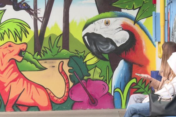 Les élèves de seconde du lycée Ernest-Renan à Rennes ont graffé les murs de leur établissement pour réaliser une fresque de la biodiversité.