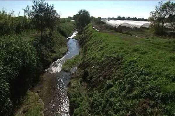 L'encombrement des berges participe à la montée des eaux lors de phénomènes de crues. 17 octobre 2015.