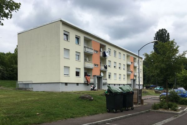 Les enfants ont été enlevés dans un quartier de la ville de Hombourg-Haut (Moselle), la cité Chapelle. 