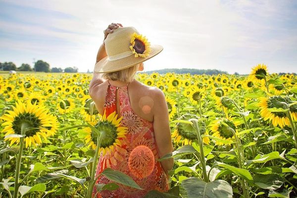 Il fait beau et chaud