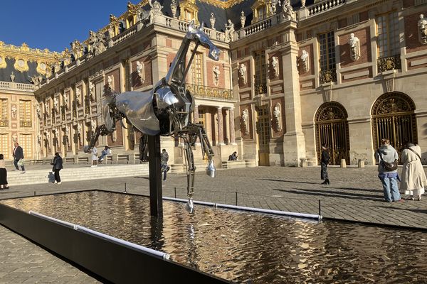 Installé depuis le 1er octobre dans la cour royale du Château de Versailles, Zeus, le cheval métallique des JOP 2024 vient compléter une majestueuse exposition autour du cheval.