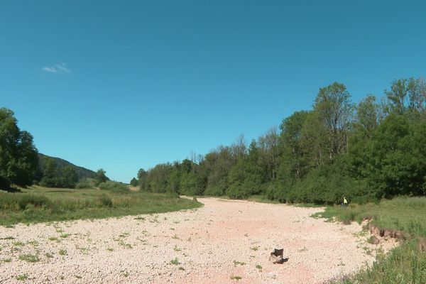 Le Doubs à sec, signe d'une sécheresse intense dans les environs du lac de Saint-Point.