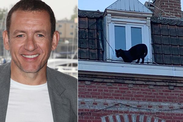 Dany Boon et le "très gros chat" d'Armentières; sa ville natale