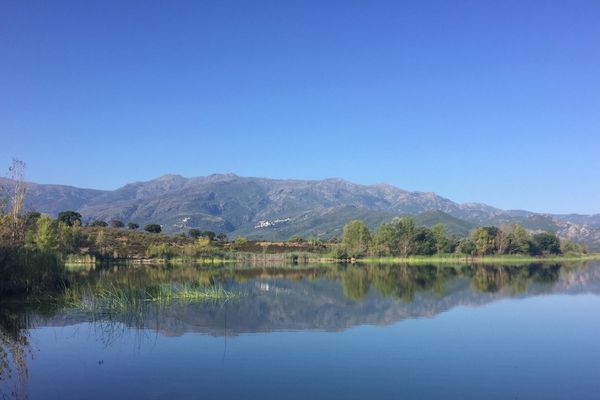 Le lac de Padula (Haute-Corse)