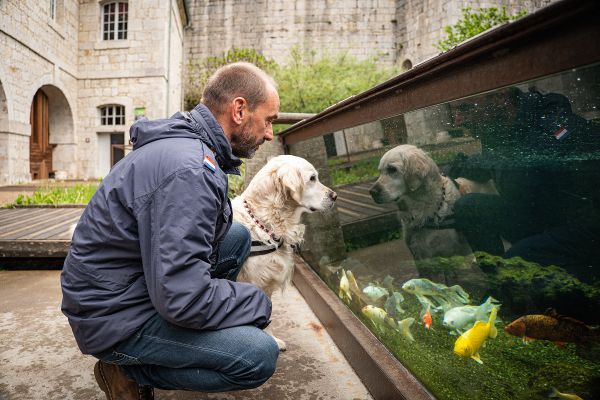 Franck Menestret et Muffin vous proposent de vivre le dernier épisode de la saison 2 de l'émission En terre animale à la citadelle de Besançon dans le Doubs.