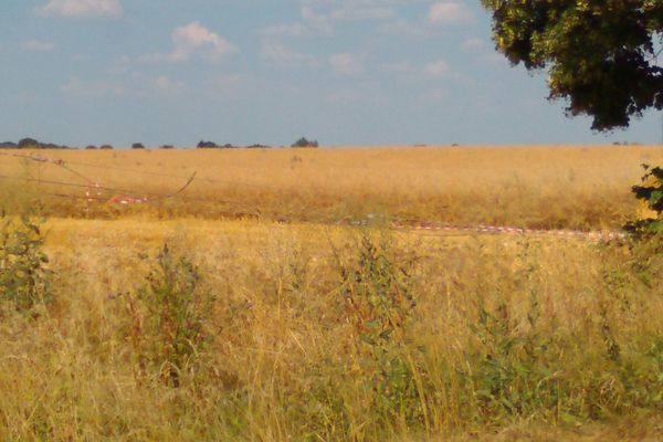 Un important incendie a dévasté cinq hectares de chaume à Villerupt. Un engin agricole aurait percuté un poteau d'une ligne haute tension qui serait tombée sur le sol.
