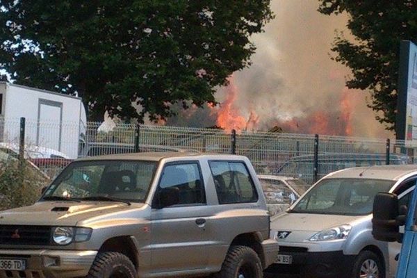 Un feu a parcouru 2 hectares à Biguglia, le 20 juillet