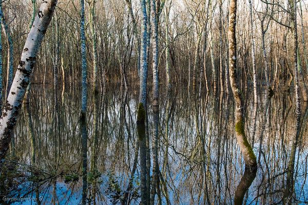 marais glaugelas - Attention aux inondations !