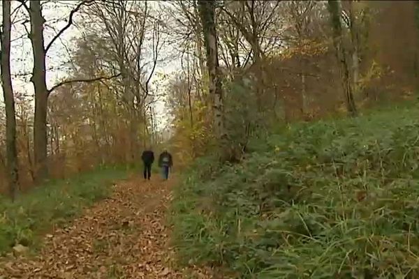 L'accident de chasse a eu lieu dans une forêt fréquentée 