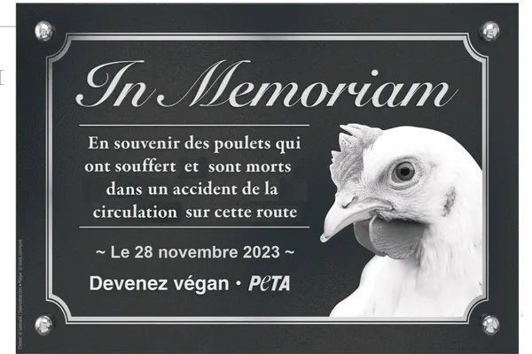 L'association PETA a envoyé une lettre au maire de Faget-Abbatial lui demandant la permission d’installer une plaque commémorative sur la RD 104 où serait inscrit la phrase suivante « In Memoriam. En souvenir des poulets qui ont souffert et sont morts dans un accident de la circulation sur cette route. Devenez végan » à côté de l’image d’un poulet.