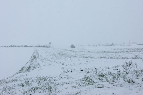 Un paysage digne d'un mois de février... en mai. Le week-end des 12 et 13 mai, l'hiver était de retour en Haute-Loire.