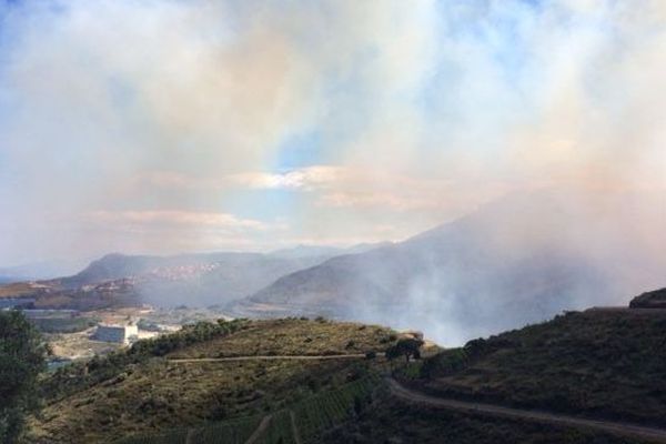 Le feu a démarré dans l'après-midi entre Banyuls-sur-Mer et Cerbère, sur la route 914, coupée dans les deux sens à cause de la fumée dégagée