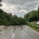 De violents orages ont touché les départements de l'Isère, de la Savoie et de la Haute-Savoie ce vendredi 12 juillet.