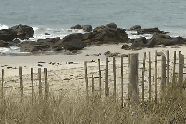 Plage de Kervillen à la Trinité-sur-Mer (56)