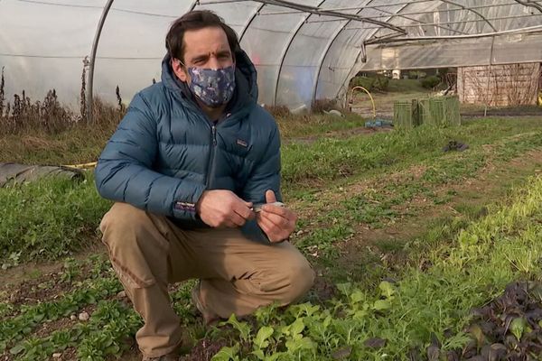 Matthieu Dunand, producteur de fruits et légumes à Cranves-Sales, s'inquiète pour la vente directe en raison du couvre-feu.