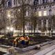 Les arbres plantés ce vendredi sur le parvis de l'Hôtel de Ville de Paris.