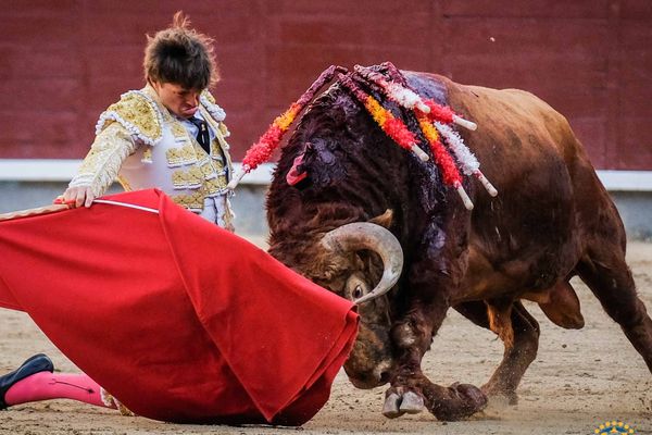 A genoux, pleine piste : le début de faena de Juan Leal à Portador