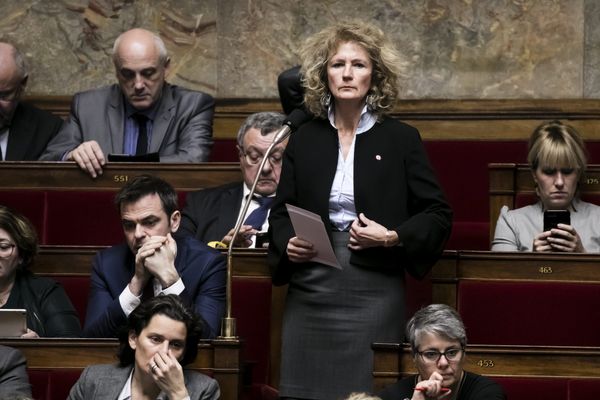 Martine Wonner à l'Assemblée nationale