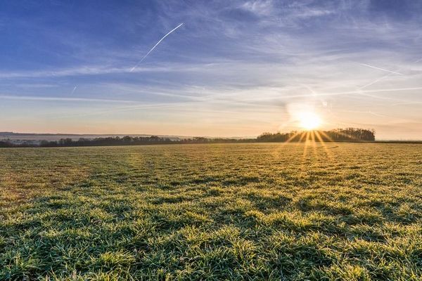 Le scrutin designant les représentants départementaux aux chambres d'agricultures s'est achevé mercredi 6 février 