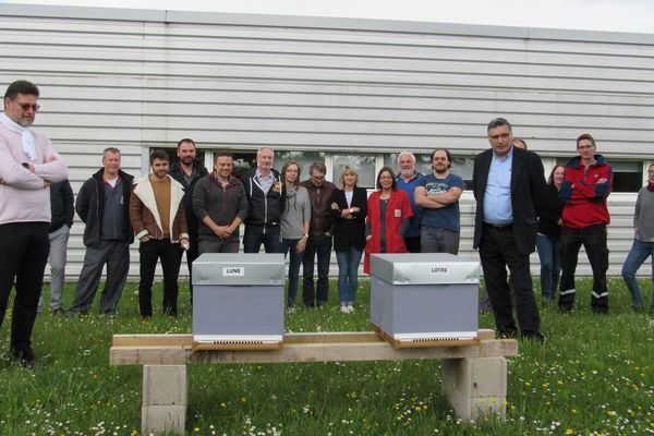 Deux ruches ont été placées sur le site d'une imprimerie de Maxéville en Meurthe-et-Moselle, un façon d'agir pour l'environnement pour les responsables de l'entreprise.