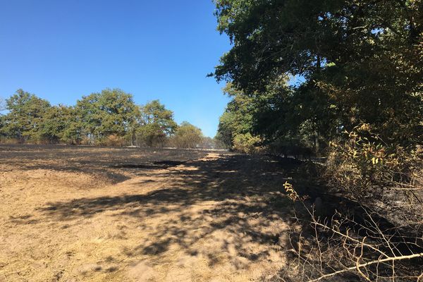 Photo d'illustration - incendie en Haute-Vienne