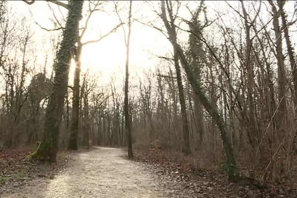 Le meurtre s'est déroulé à proximité du parcours de santé à Laxou (54)