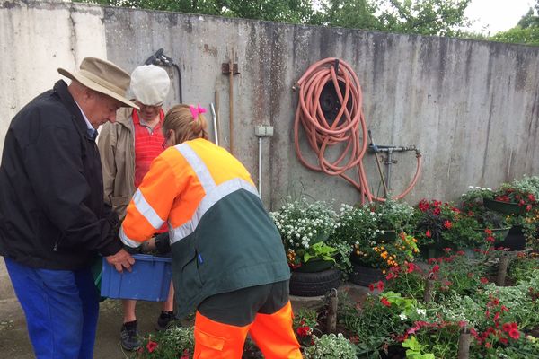 Lillebonne : distribution de plants aux habitants en raison de la sécheresse