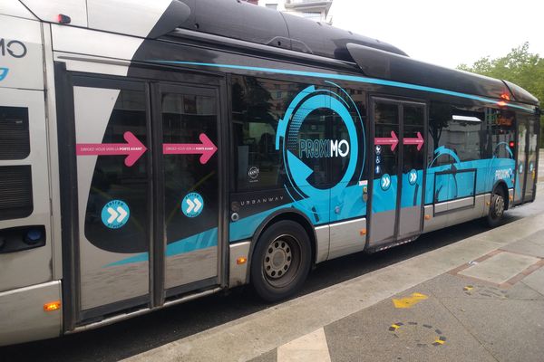 Illustration. Un contrôleur et un conducteur d'un bus de Grenoble ont été menacés par une arme à feu, ce mardi 5 novembre, sur la commune d'Echirolles (Isère).