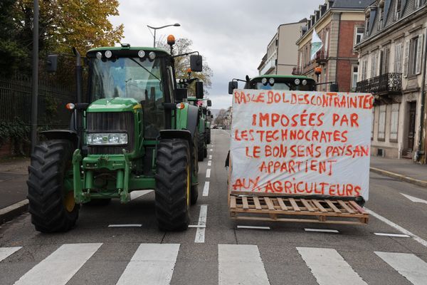 Parmi les revendications des agriculteurs en colère : l'allègement des normes qui leur sont imposées. Un député de la Loire propose d'interdire les importations de produits agricoles qui en sont exemptés.