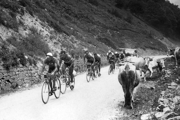 Le Cantalien Antonin Magne, Guy Lapebie et Félicien Vervaecke au col du Tourmalet lors de la 18ème étape du Tour de France 1934, entre Tarbes et Pau. 